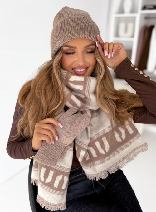 Czapka i rękawiczki Grayson ciemny beż 1